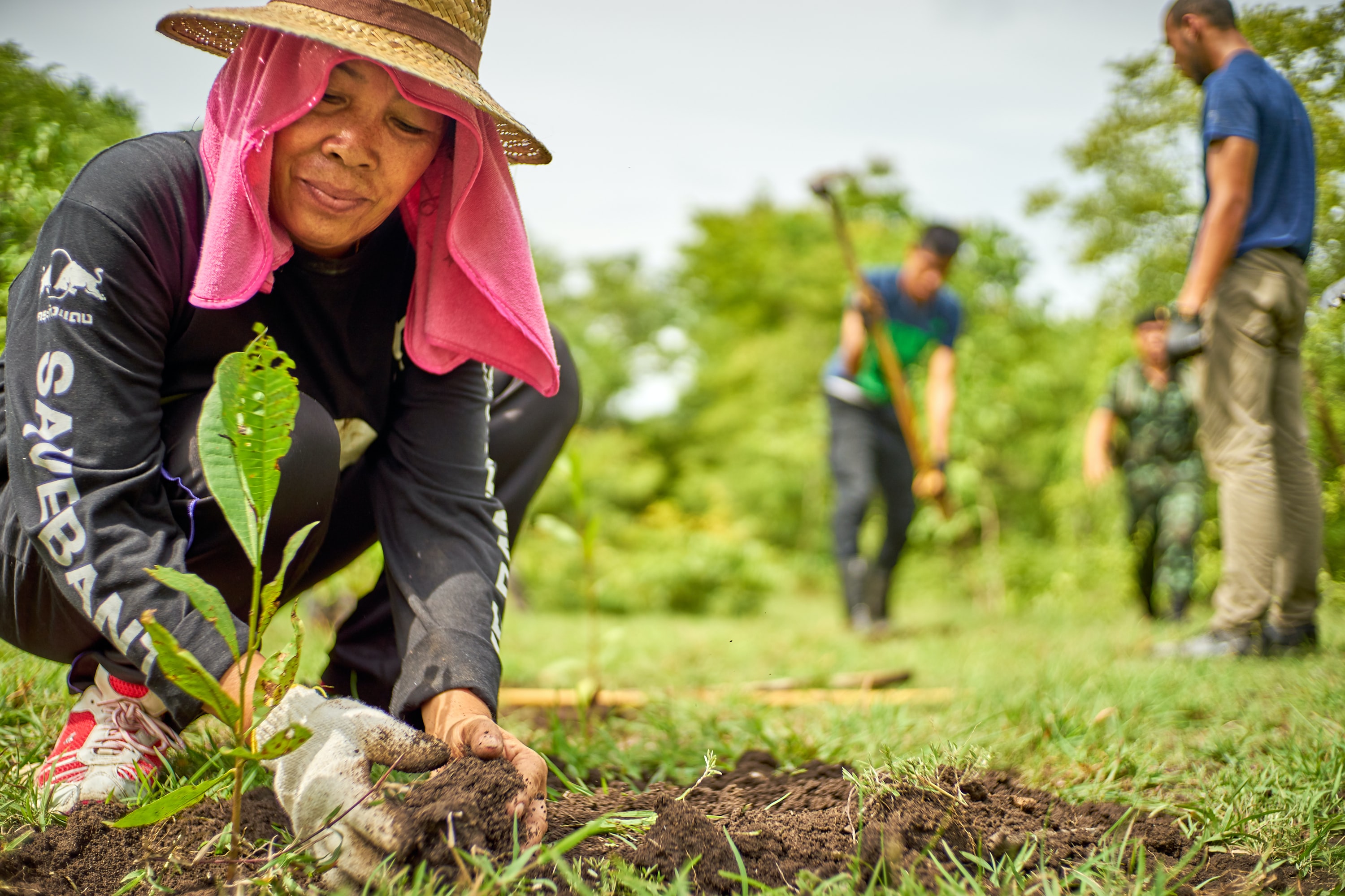 An east Asian woman planting a tree