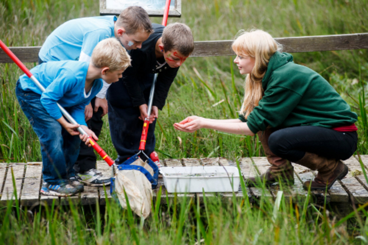 A group of children with nets at a pond