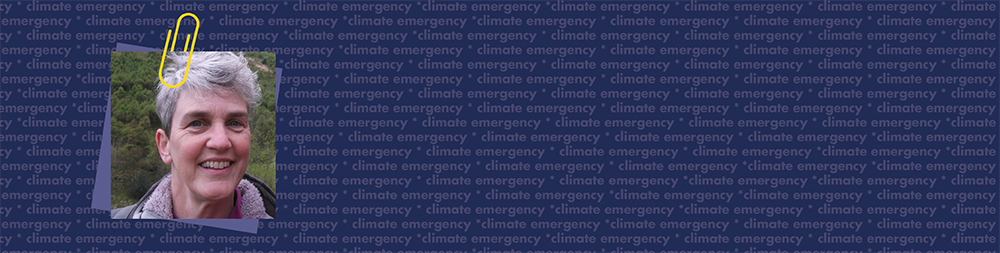 Head shot of Penny Radway