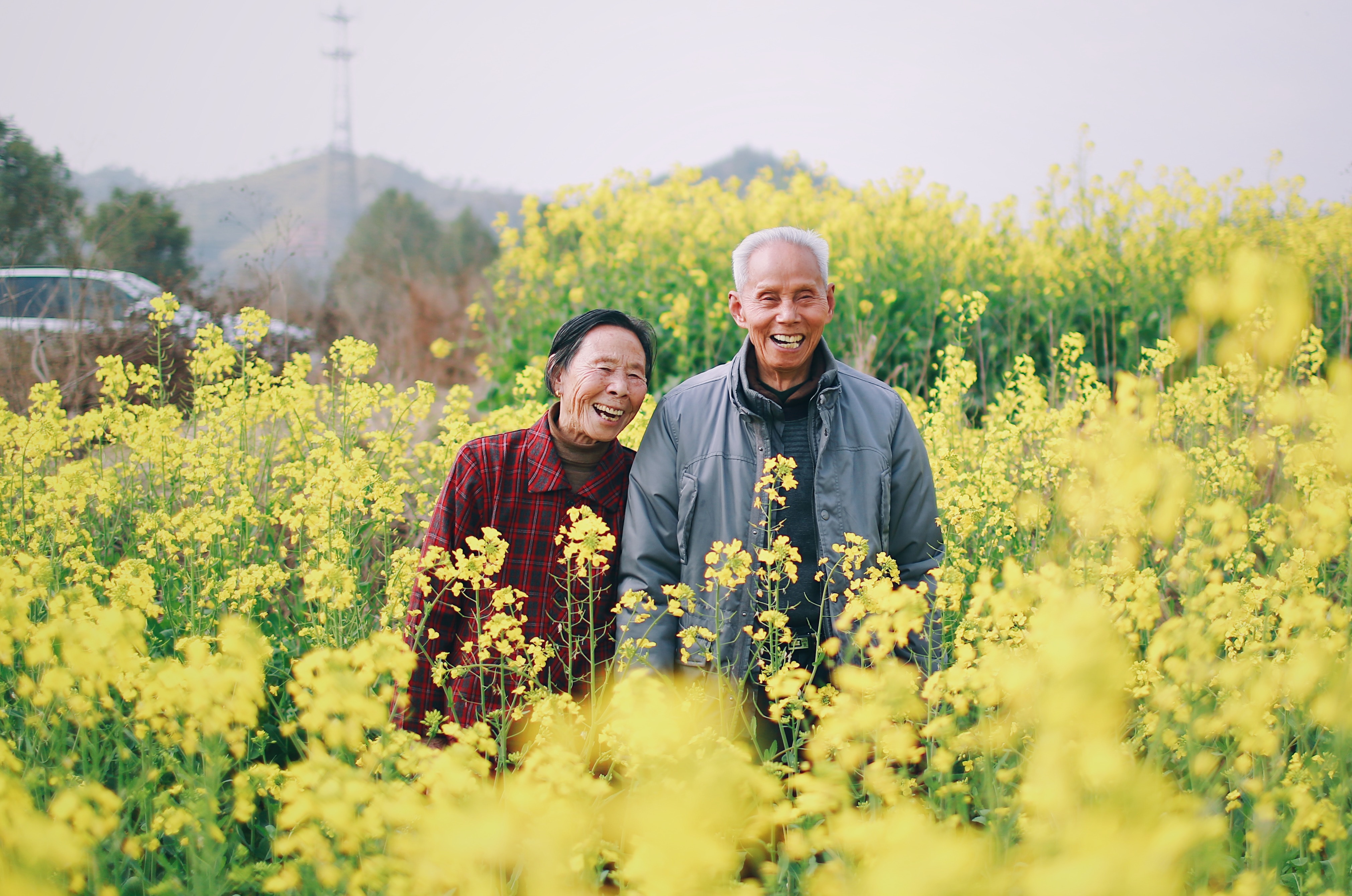 Two people standing in a yellow field