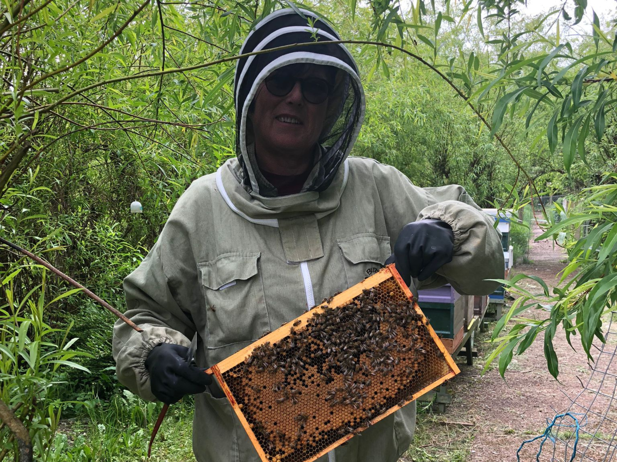 Bradford Organic Communities Service Ltd