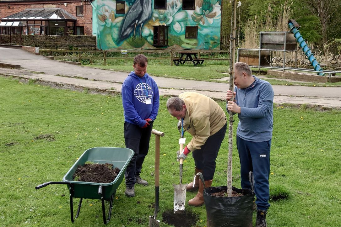 Three people planting trees