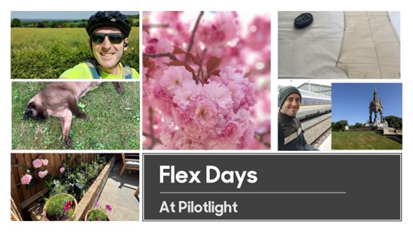Collage of photos, including a garden, a cat and a cyclist taking a selfie in the countryside