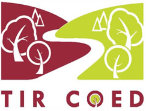 Tir Coed logo