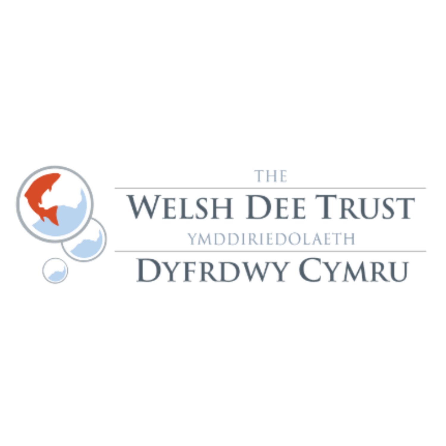 Welsh Dee Trust logo